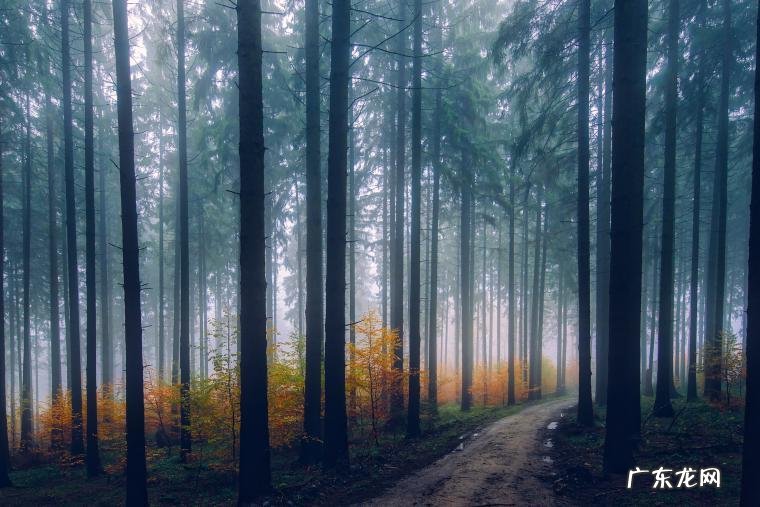 新的一年 ， 自在生活的12个小方法