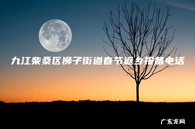 九江柴桑区狮子街道春节返乡报备电话