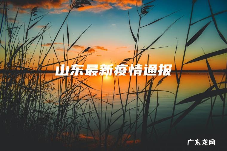 山东最新疫情通报