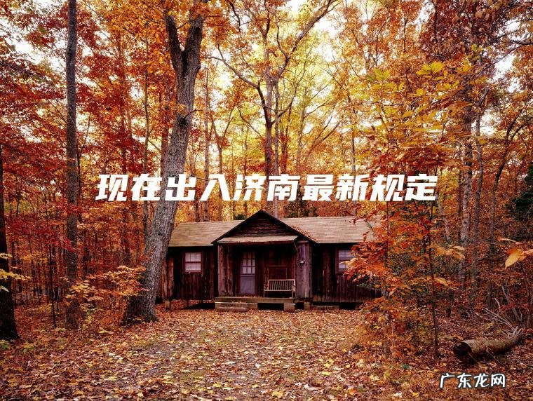 现在出入济南最新规定