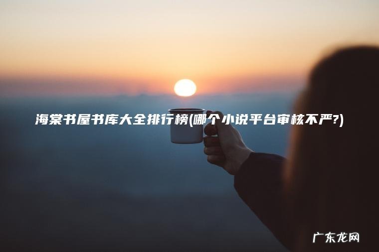 海棠书屋书库大全排行榜(哪个小说平台审核不严?)