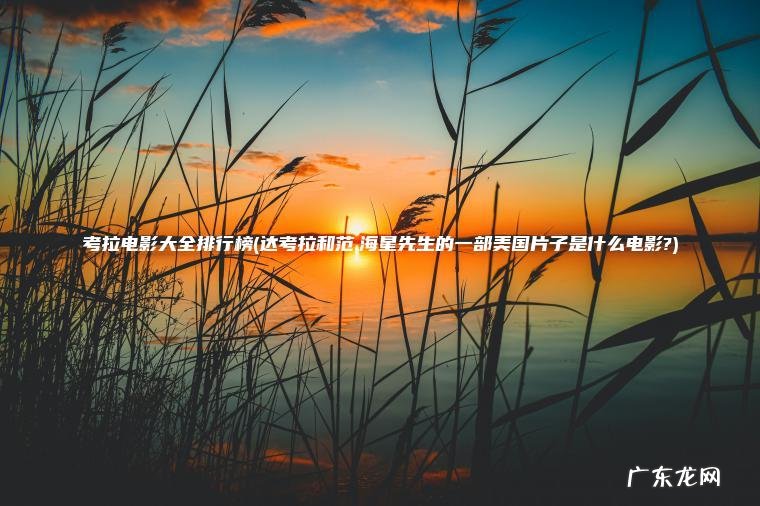 考拉电影大全排行榜(达考拉和范.海星先生的一部美国片子是什么电影?)