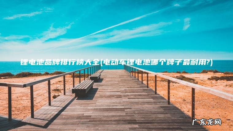 锂电池品牌排行榜大全(电动车锂电池哪个牌子最耐用?)