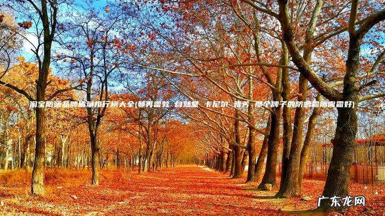 淘宝防晒品牌质量排行榜大全(曼秀雷敦 自然堂 卡尼尔 雅芳 那个牌子的防晒霜隔离霜好)