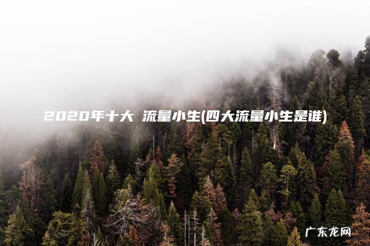 2020年十大強流量小生(四大流量小生是谁)