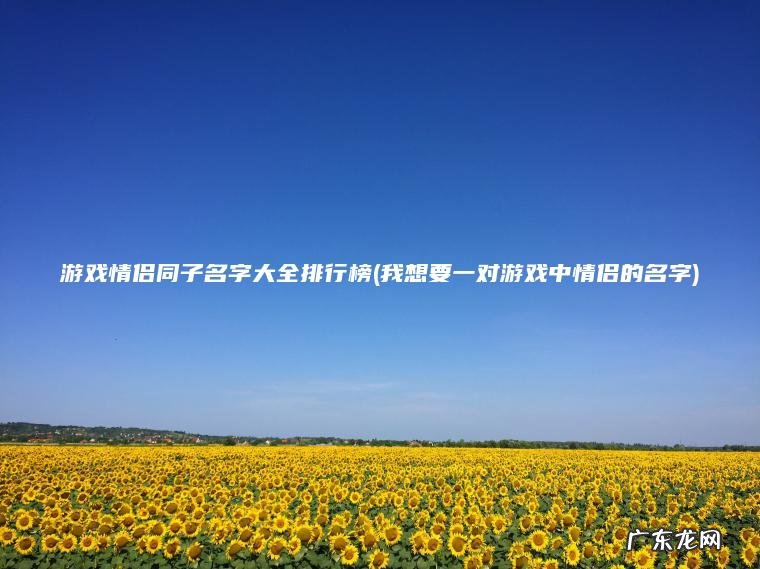 游戏情侣同子名字大全排行榜(我想要一对游戏中情侣的名字)