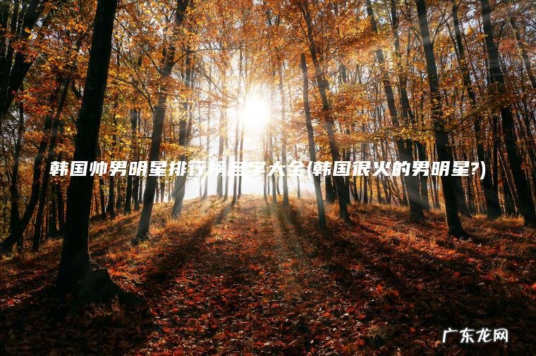 韩国帅男明星排行榜名字大全(韩国很火的男明星?)