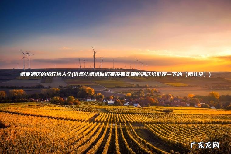 婚宴酒店的排行榜大全(准备结婚婚你们有没有实惠的酒店给推荐一下的【婚礼纪】)