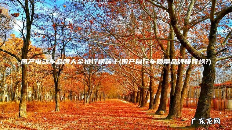 国产电动车品牌大全排行榜前十(国产自行车质量品牌排行榜?)