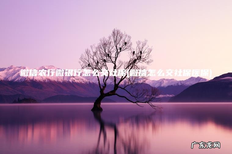 微信农行微银行怎么交社保(微信怎么交社保医保)