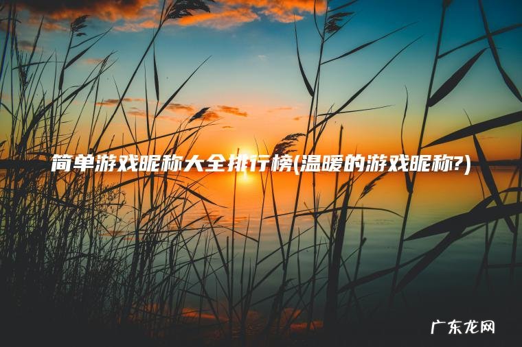 简单游戏昵称大全排行榜(温暖的游戏昵称?)