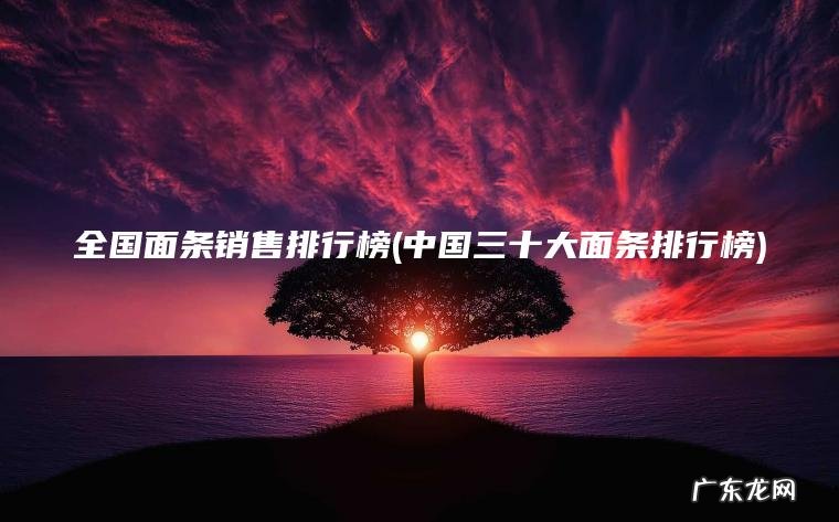 全国面条销售排行榜(中国三十大面条排行榜)