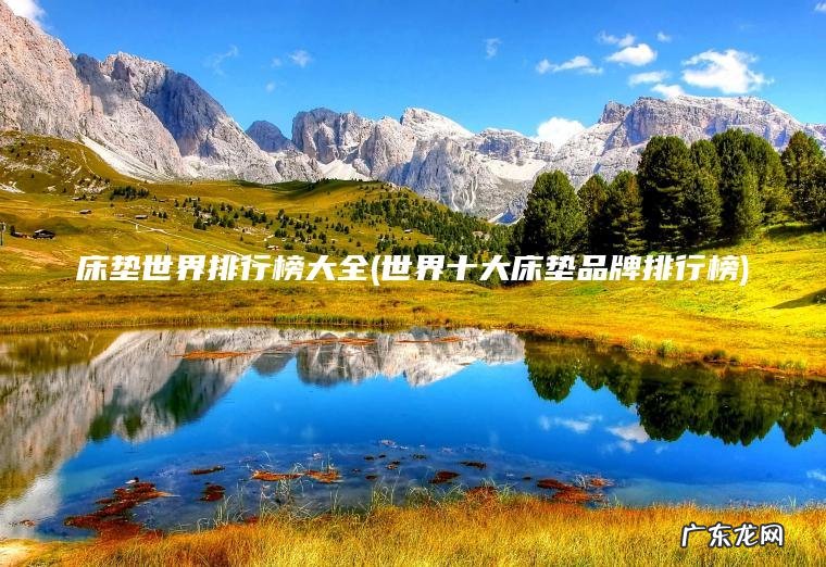 床垫世界排行榜大全(世界十大床垫品牌排行榜)