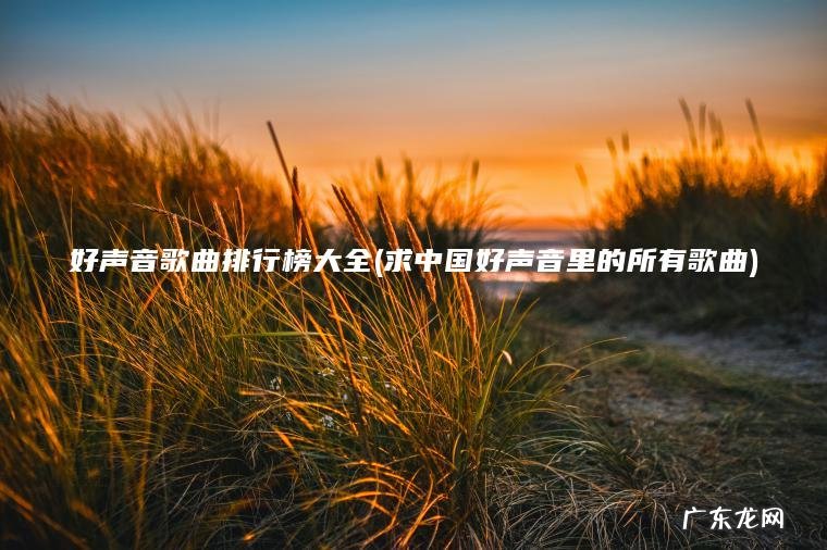 好声音歌曲排行榜大全(求中国好声音里的所有歌曲)