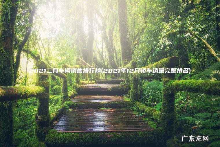 2021二月车辆销售排行榜(2021年12月轿车销量完整排名)