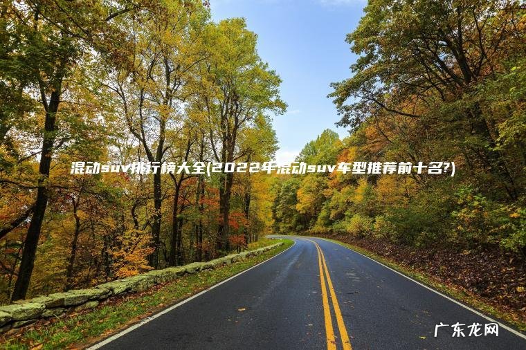 混动suv排行榜大全(2022年混动suv车型推荐前十名?)
