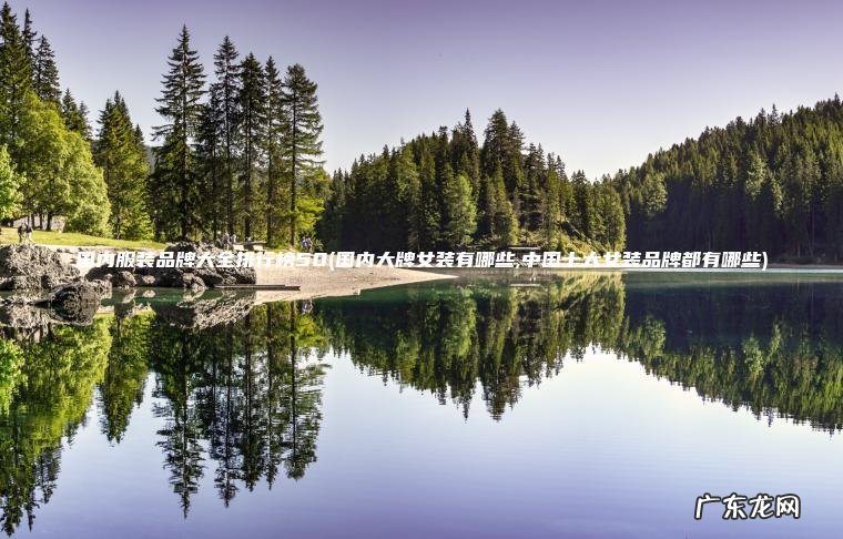 国内服装品牌大全排行榜50(国内大牌女装有哪些,中国十大女装品牌都有哪些)