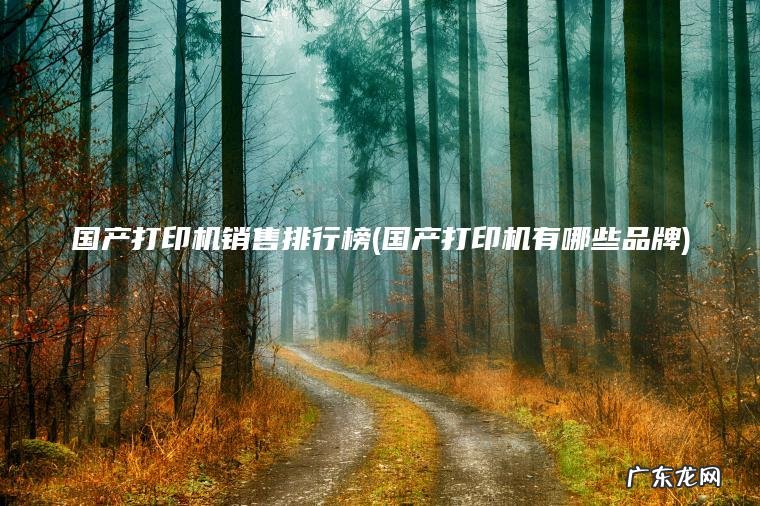 国产打印机销售排行榜(国产打印机有哪些品牌)