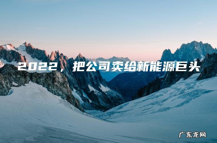 2022 ， 把公司卖给新能源巨头