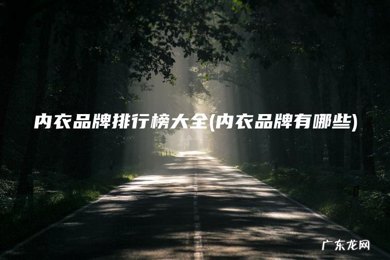 内衣品牌排行榜大全(内衣品牌有哪些)