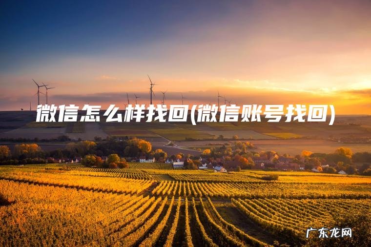 微信怎么样找回(微信账号找回)