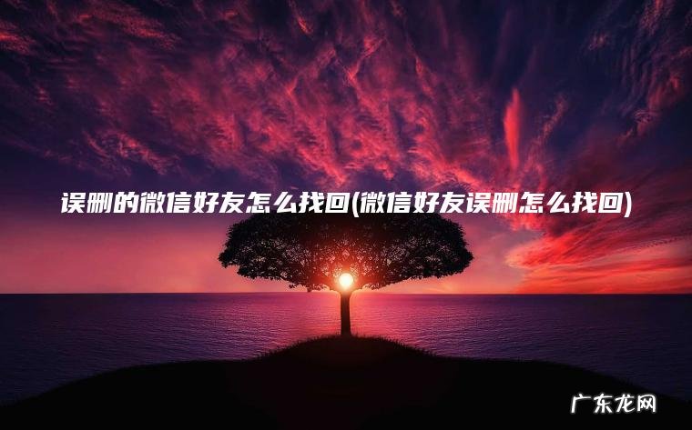 误删的微信好友怎么找回(微信好友误删怎么找回)