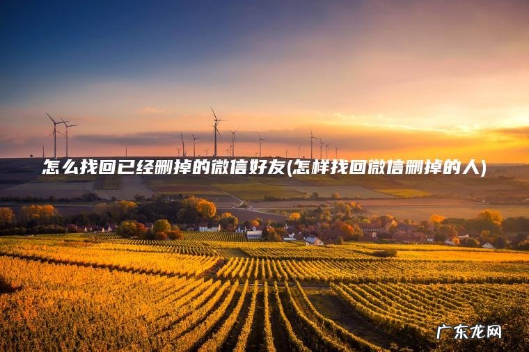 怎么找回已经删掉的微信好友(怎样找回微信删掉的人)
