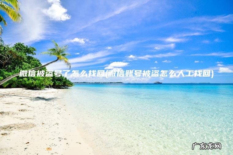 微信被盗号了怎么找回(微信账号被盗怎么人工找回)