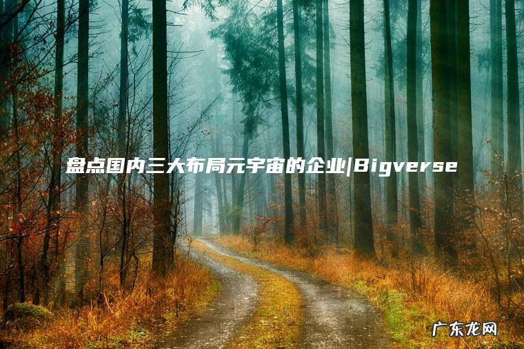 盘点国内三大布局元宇宙的企业|Bigverse