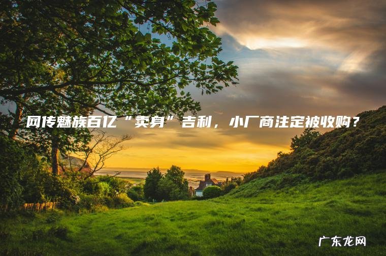 网传魅族百亿“卖身”吉利 ， 小厂商注定被收购？