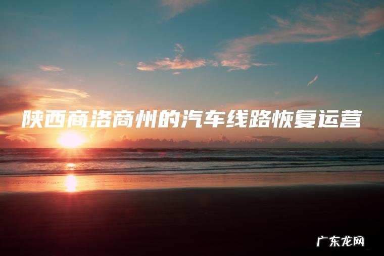 陕西商洛商州的汽车线路恢复运营