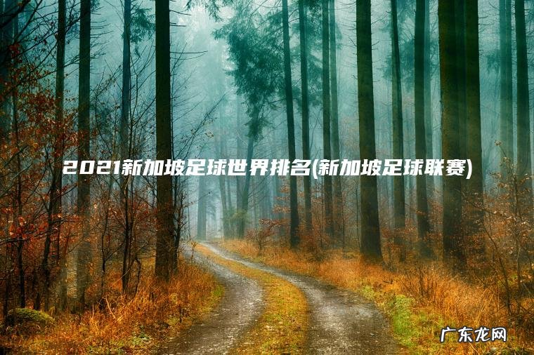 2021新加坡足球世界排名(新加坡足球联赛)