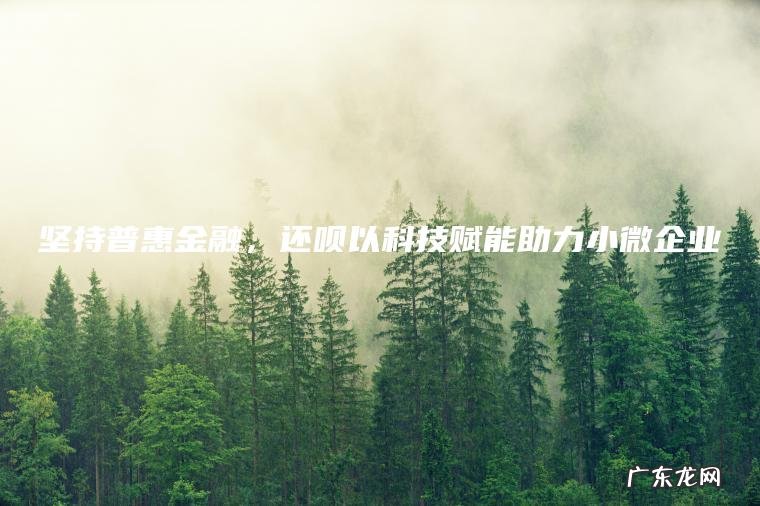 坚持普惠金融 ， 还呗以科技赋能助力小微企业