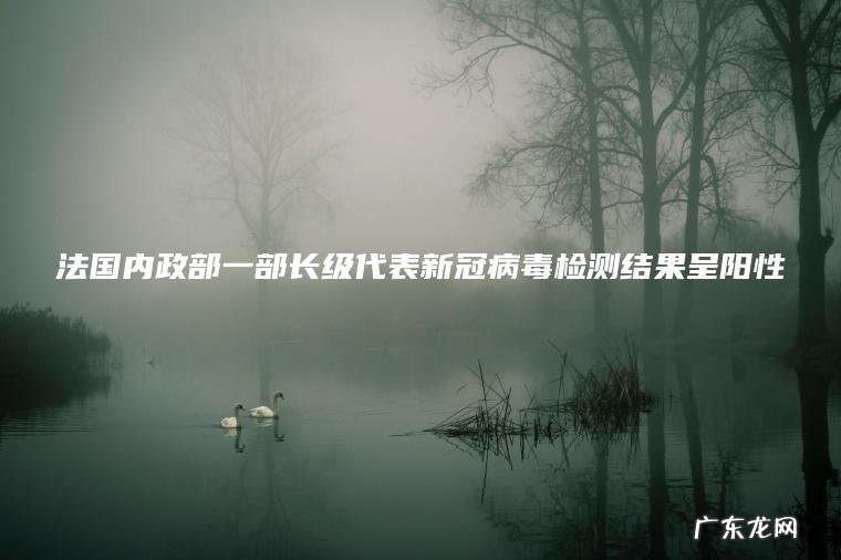 法国内政部一部长级代表新冠病毒检测结果呈阳性