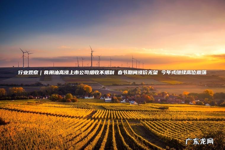 行业观察｜食用油高涨上市公司增收不增利 春节期间涨价无望 今年或继续高位震荡