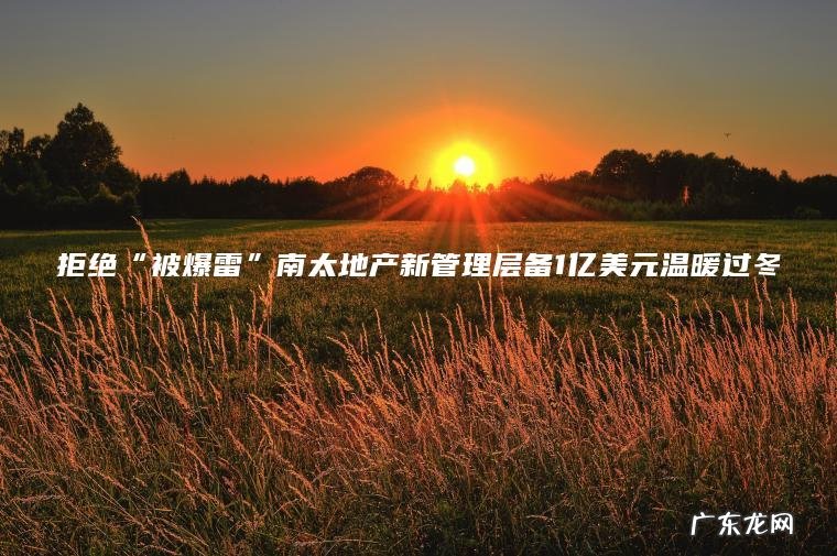 拒绝“被爆雷”南太地产新管理层备1亿美元温暖过冬