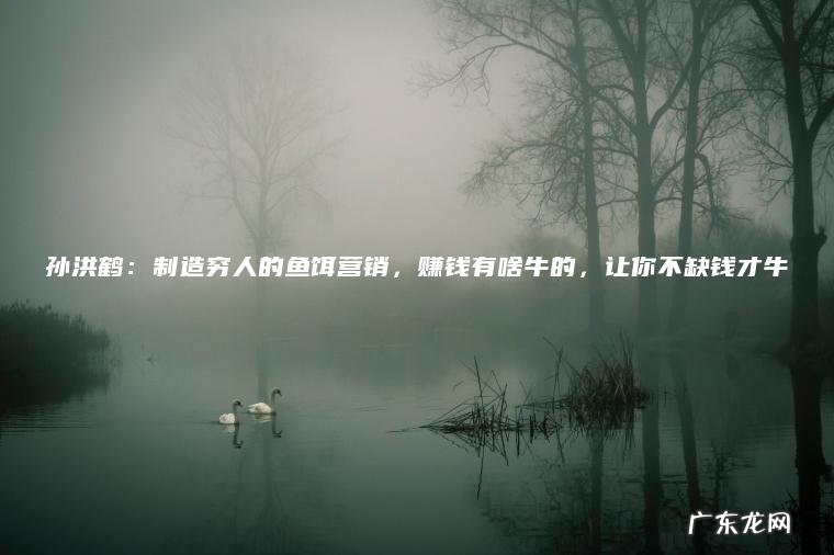 孙洪鹤：制造穷人的鱼饵营销 ， 赚钱有啥牛的 ， 让你不缺钱才牛