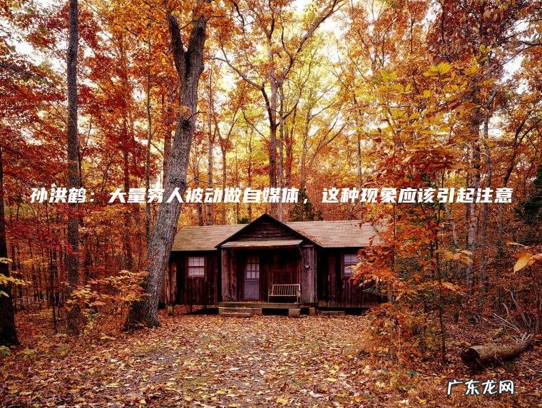 孙洪鹤：大量穷人被动做自媒体 ， 这种现象应该引起注意