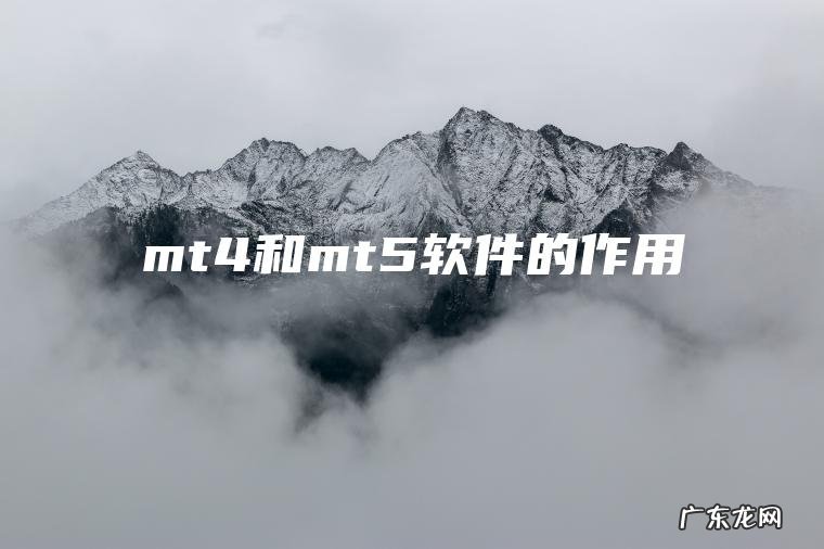 mt4和mt5软件的作用