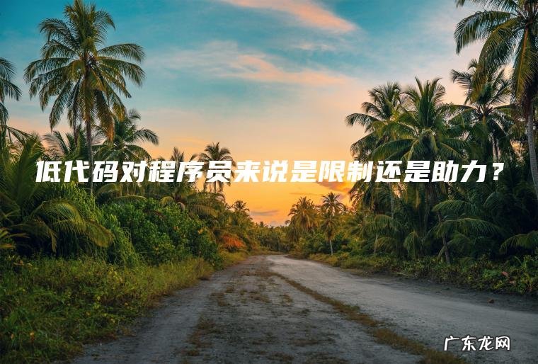 低代码对程序员来说是限制还是助力？
