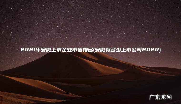 2021年安徽上市企业市值排名(安徽有多少上市公司2020)