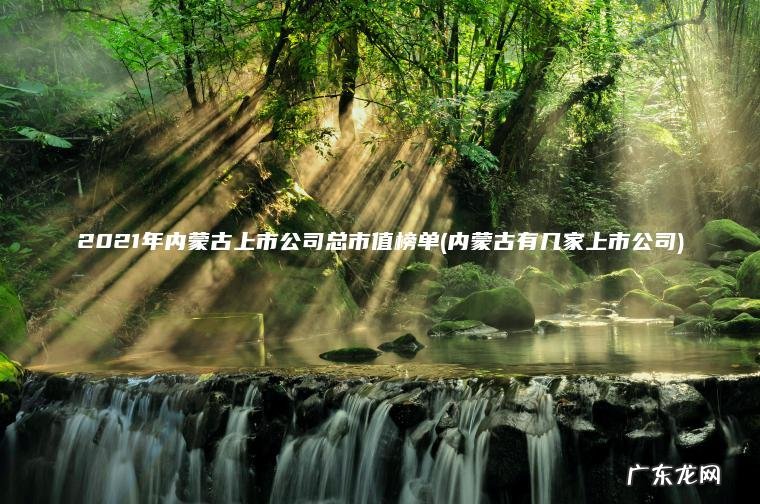 2021年内蒙古上市公司总市值榜单(内蒙古有几家上市公司)