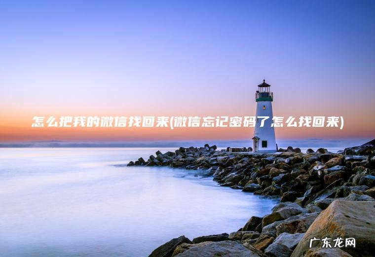 怎么把我的微信找回来(微信忘记密码了怎么找回来)
