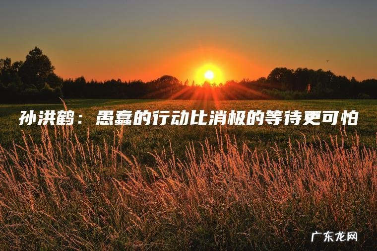 孙洪鹤：愚蠢的行动比消极的等待更可怕