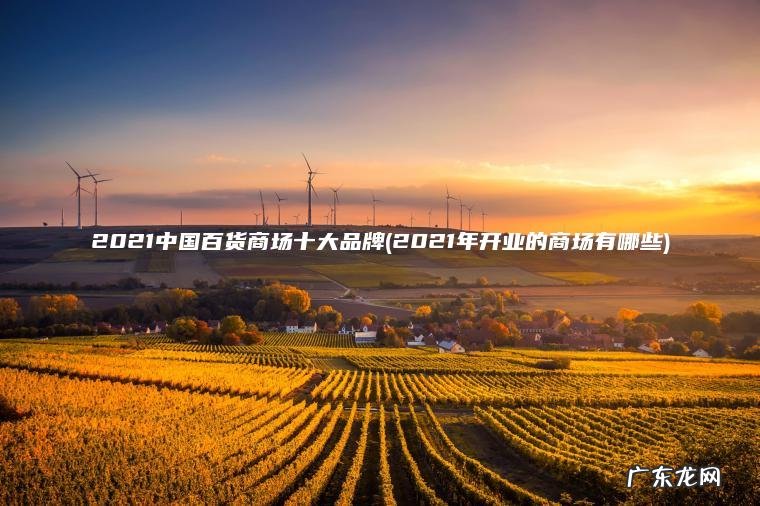 2021中国百货商场十大品牌(2021年开业的商场有哪些)