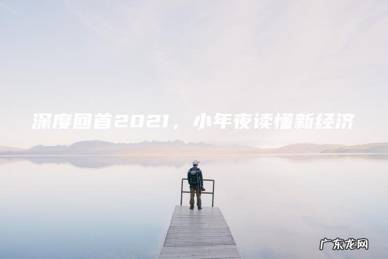 深度回首2021，小年夜读懂新经济