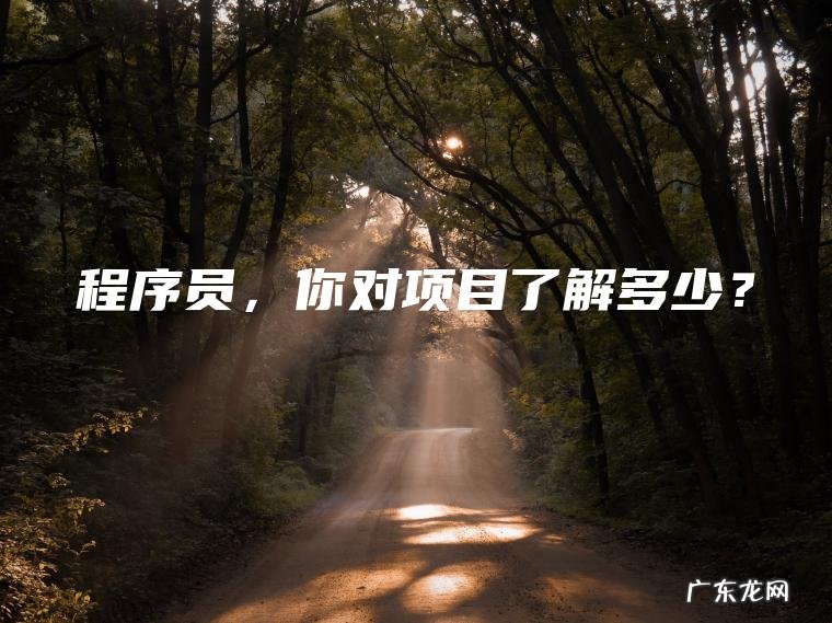 程序员 ， 你对项目了解多少？