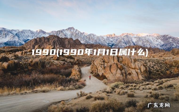 1990(1990年1月1日属什么)