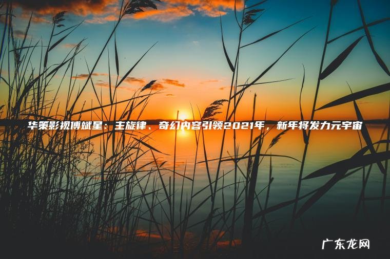 华策影视傅斌星：主旋律、奇幻内容引领2021年，新年将发力元宇宙