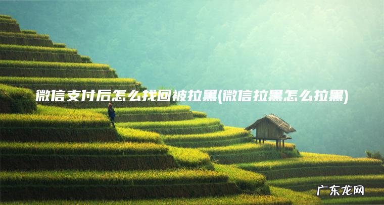 微信支付后怎么找回被拉黑(微信拉黑怎么拉黑)